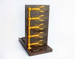Waver Shrimp Molds