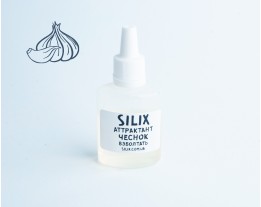 Atrakcyjny "Czosnek"