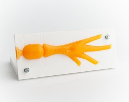 Форма CHIKEN PAW