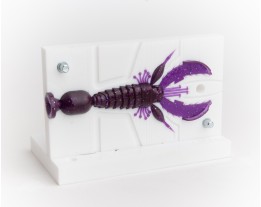 Форма Cre Craw