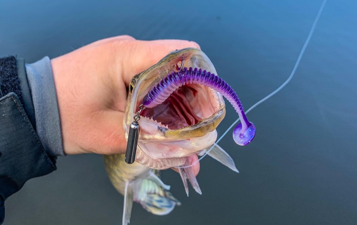 Атрактанти для виробництва силіконових приманок